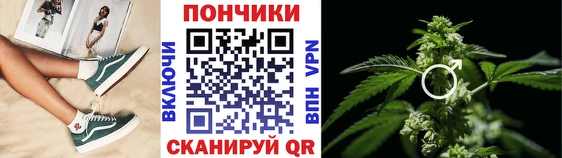 Магазины продажи наркотиков Гусиноозёрск Гашиш  Кокаин  Меф мяу мяу  СК  Каннабис 