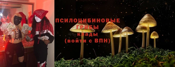 mdpv Горнозаводск