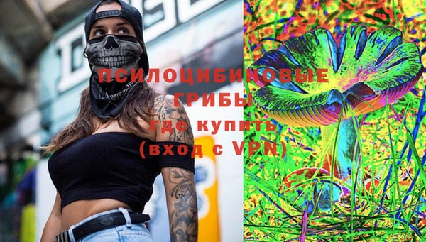mdpv Горнозаводск