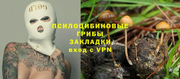 mdpv Горнозаводск