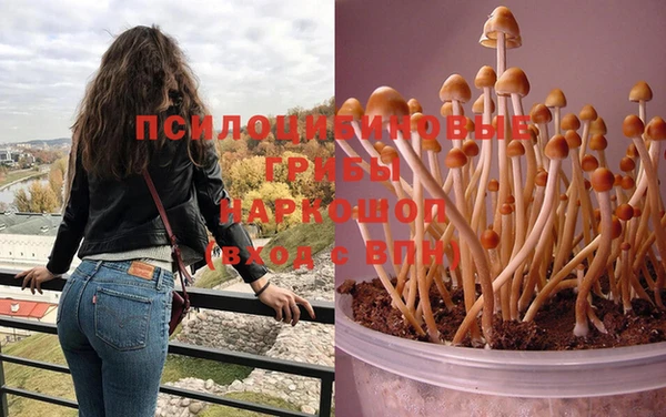 spice Горняк