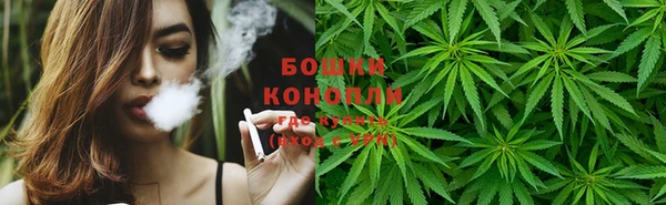 spice Горняк