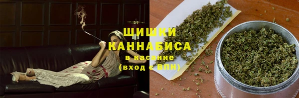 mdpv Горнозаводск