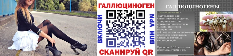 мориарти состав  Гусиноозёрск  Галлюциногенные грибы Psilocybe 